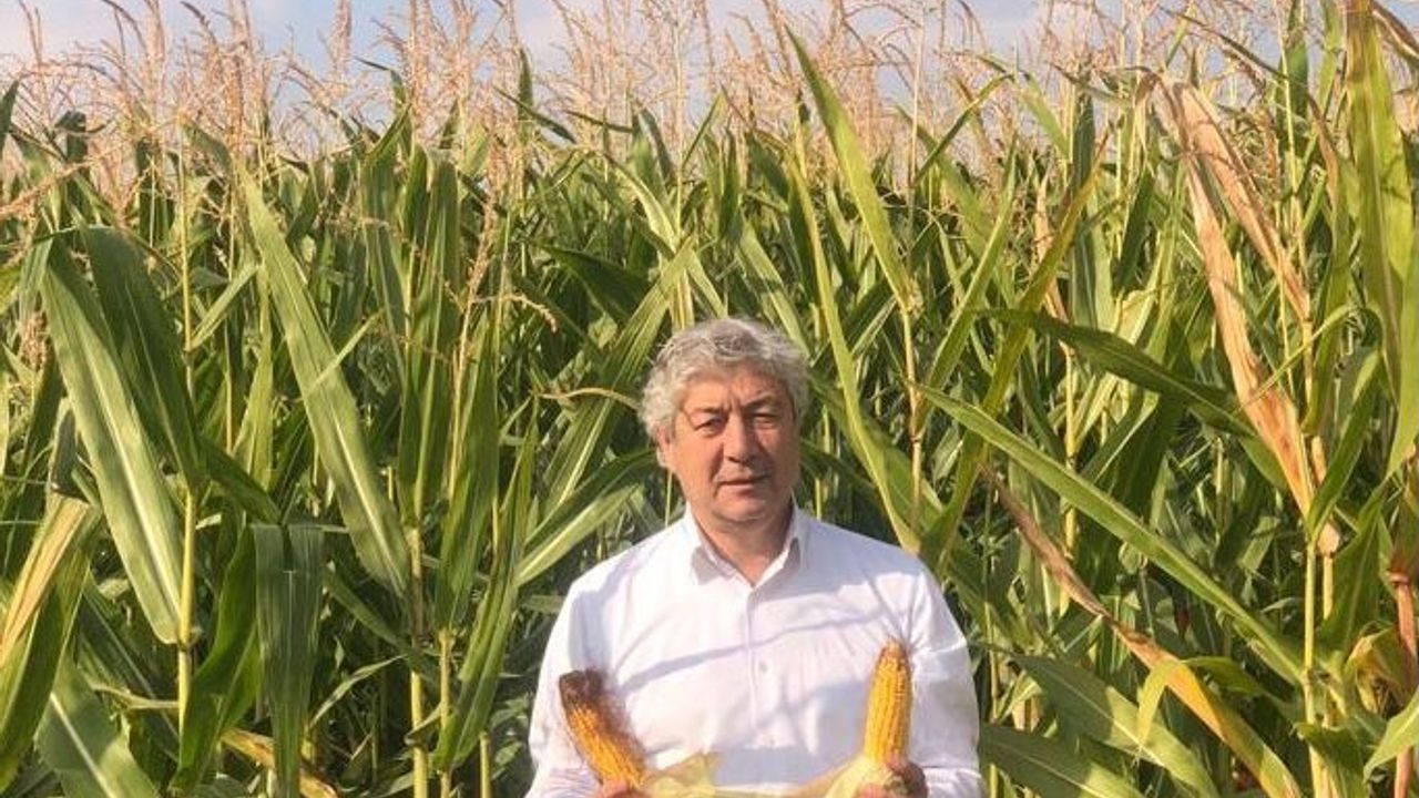 MELİK: “MISIR FİYATI EN AZ 7,75 TL ALTINDA OLMALI”
