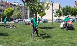 Haliliye'de parklar yaza hazırlanıyor