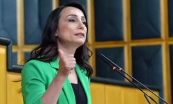 Hatimoğulları şart koştu: Demokratik topluma giden yol buradan geçer