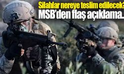Silahlar nereye teslim edilecek? MSB'den PKK'nın feshine dair ilk açıklama