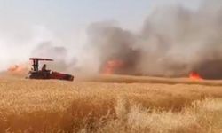 Harran 170 dönümlük buğday tarlası kül oldu