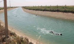 Urfa’da yaz serinliği faciaya dönüştü!