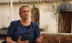 Kültür Yolu Festivali Urfa'yı ihya etti