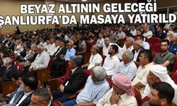 BEYAZ ALTININ GELECEĞİ ŞANLIURFA’DA MASAYA YATIRILDI