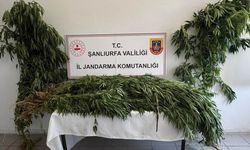 Birecik’te uyuşturucuya geçit yok