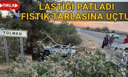 Tülmen kavşağında feci kaza: Fıstık tarlasına uçtular