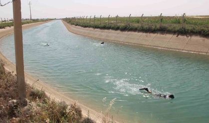 Urfa’da yaz serinliği faciaya dönüştü!