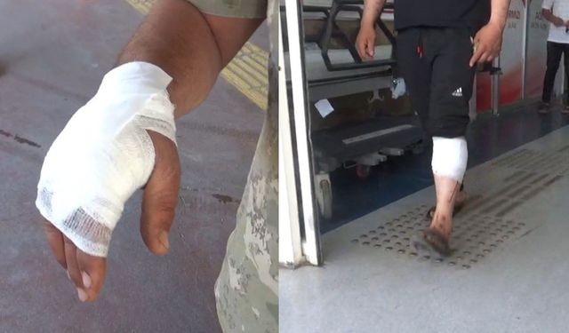 Urfa'da hastane acilleri acemi kasaplarla doldu