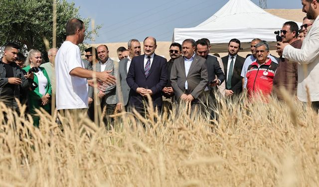Şanlıurfa’da Uluslararası Buğday Hasadı Festivali Başladı