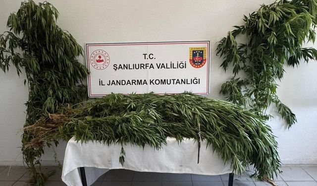 Birecik’te uyuşturucuya geçit yok