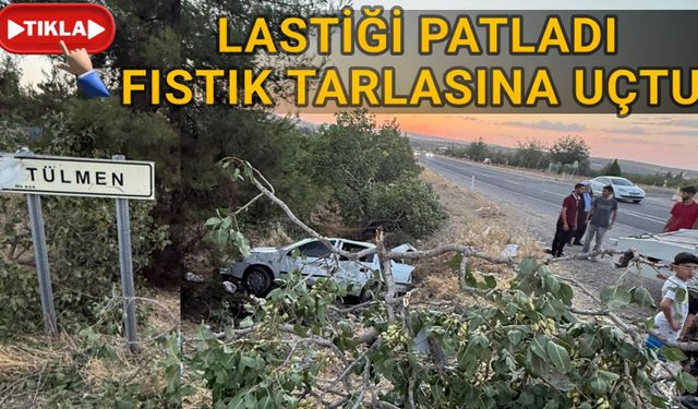 Tülmen kavşağında feci kaza: Fıstık tarlasına uçtular