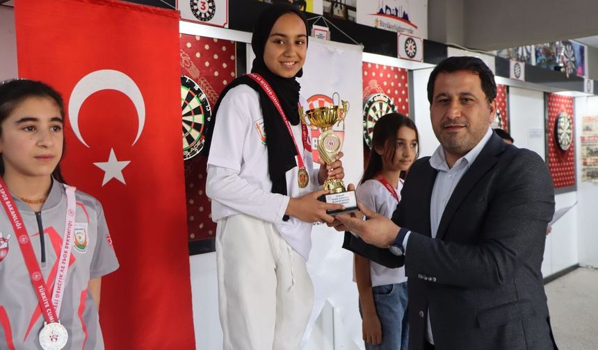 Dart şampiyonları belli oldu