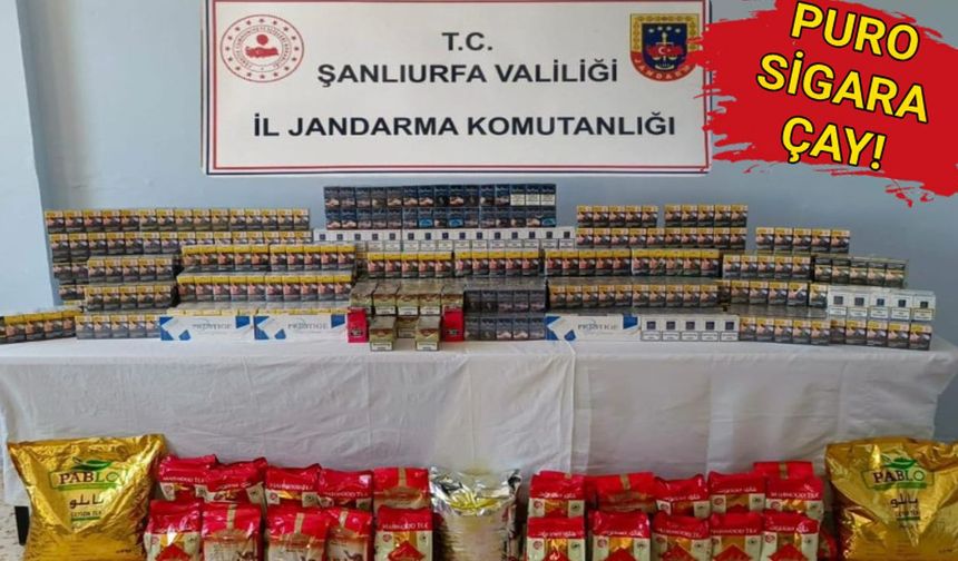 Hassas burunlu köpekler sayesinde ele geçirildi
