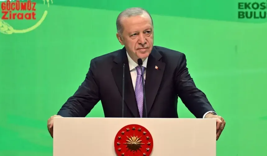 Cumhurbaşkanı Erdoğan'dan Urfalı çiftçilere müjde
