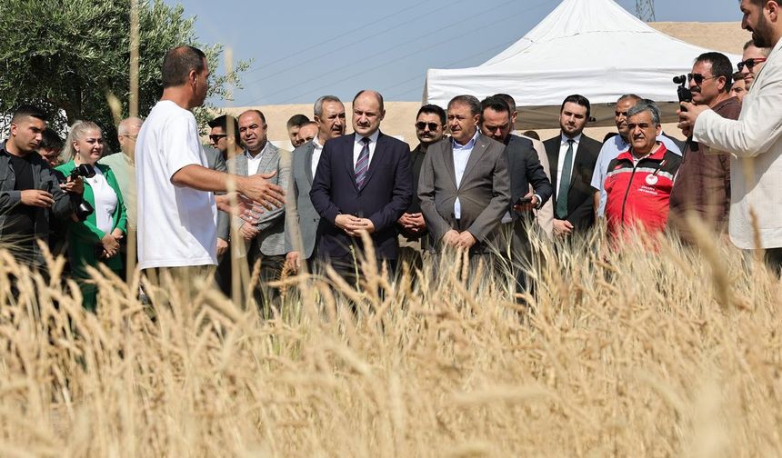 Şanlıurfa’da Uluslararası Buğday Hasadı Festivali Başladı